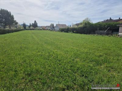 Annonce Vente Terrain Corcieux 88