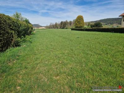 Acheter Terrain 3010 m2 Corcieux