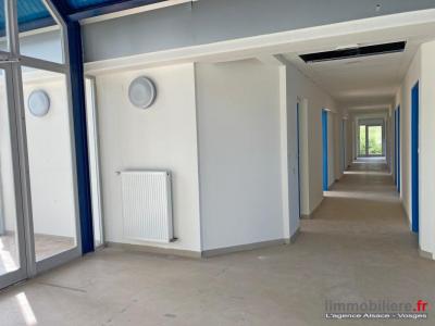 Acheter Bureau Sainte-marie-aux-mines Haut rhin