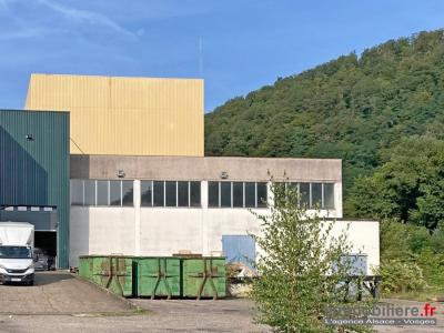 Annonce Vente Commerce Sainte-marie-aux-mines 68
