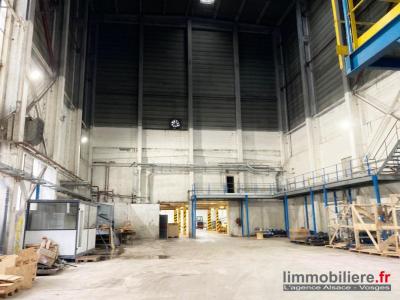 Acheter Commerce 7176 m2 Sainte-marie-aux-mines
