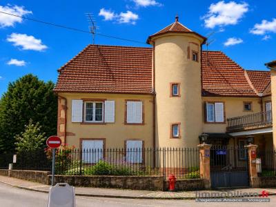 For sale Sainte-marie-aux-mines 12 rooms 500 m2 Haut rhin (68160) photo 0