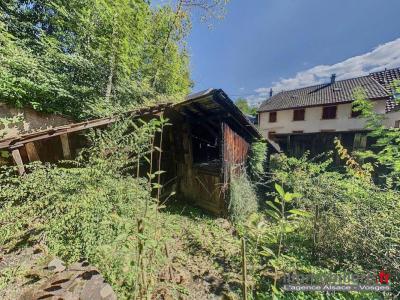 Annonce Vente 6 pi�ces Maison Sainte-croix-aux-mines 68