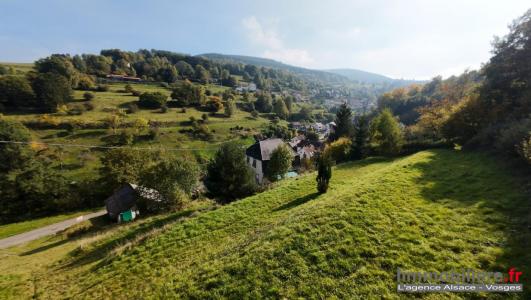 Annonce Vente Terrain Wildersbach 67
