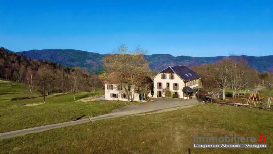 Annonce Vente 16 pi�ces Maison Sainte-marie-aux-mines 68
