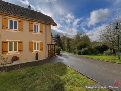 Annonce Vente 6 pi�ces Maison Fraize 88