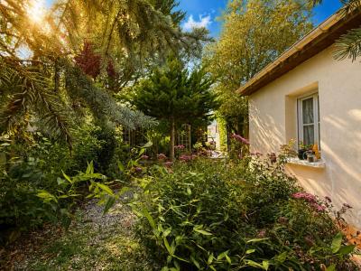 Annonce Vente 5 pi�ces Maison Cachan 94