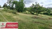 Vente Terrain Brive-la-gaillarde  4710 m2