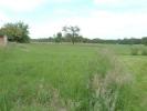 For sale Land Laubach  3027 m2