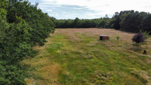 For sale Villefranche-sur-cher 9000 m2 Loir et cher (41200) photo 0