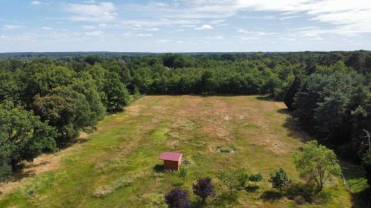 Annonce Vente Terrain Villefranche-sur-cher 41