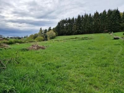 Acheter Terrain 6800 m2 Cherier