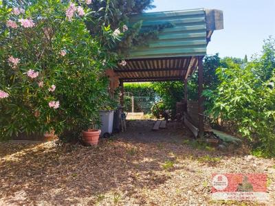 Annonce Vente 6 pi�ces Maison Roques 31