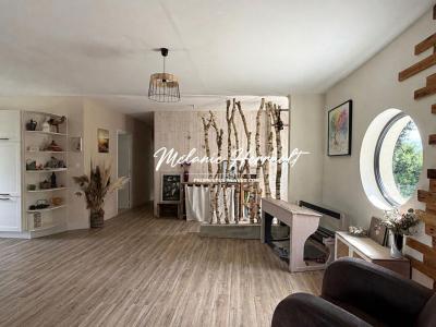Annonce Vente 6 pi�ces Maison Parigne-l'eveque 72