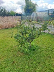 For sale Saint-maixent-l'ecole 499 m2 Deux sevres (79400) photo 3