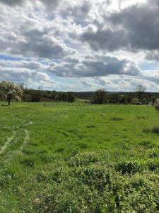 For sale Gournay-en-bray 1045 m2 Seine maritime (76220) photo 0