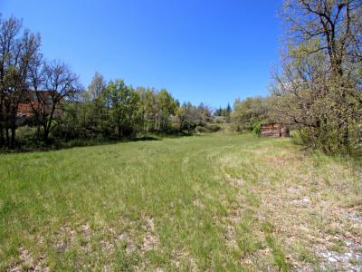 Annonce Vente Terrain Brusquet 04