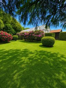 For sale Pleyben 8 rooms 218 m2 Finistere (29190) photo 2