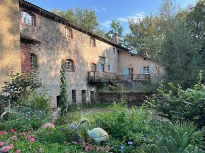 Acheter Maison 458 m2 Plaisance