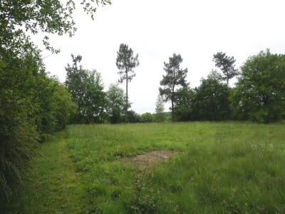 Annonce Vente Terrain Eauze 32