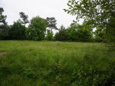 Acheter Terrain Eauze Gers