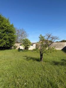 Annonce Vente Maison Dagneux 01