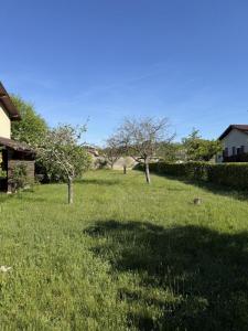 Annonce Vente Terrain Dagneux 01