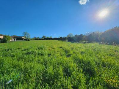 Annonce Vente Maison Vernaison 69