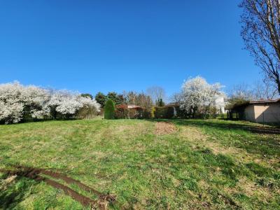 Annonce Vente Terrain Sainte-euphemie 01