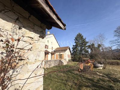 Annonce Vente Prestige Champagne-en-valromey 01