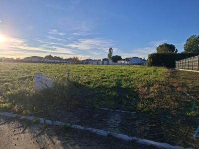 For sale Saint-pierre-du-mont 464 m2 Landes (40280) photo 1