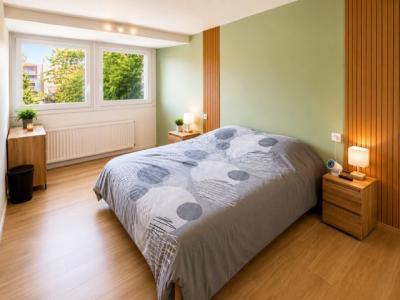Acheter Appartement Roche-la-moliere Loire