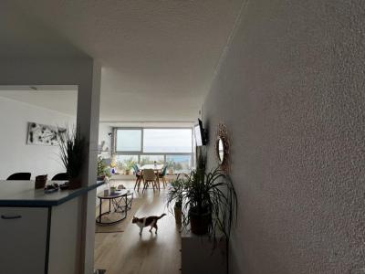 Annonce Vente 2 pi�ces Appartement Agde 34