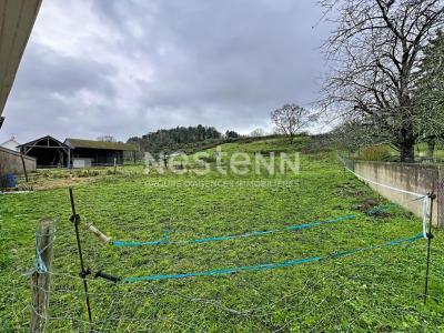 Annonce Vente 6 pi�ces Maison Chouzy-sur-cisse 41