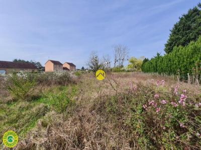 Annonce Vente Terrain Chatillon-sur-indre 36