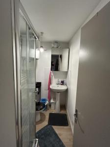 Louer Appartement Nantes 455 euros