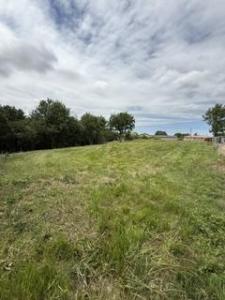 Annonce Vente 3 pi�ces Maison Montans 81