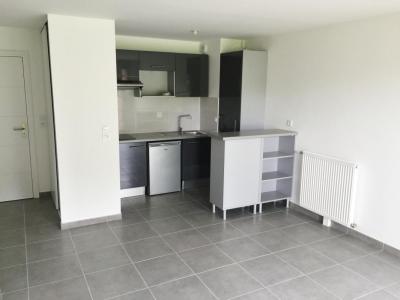 Annonce Location 2 pi�ces Appartement Toulouse 31