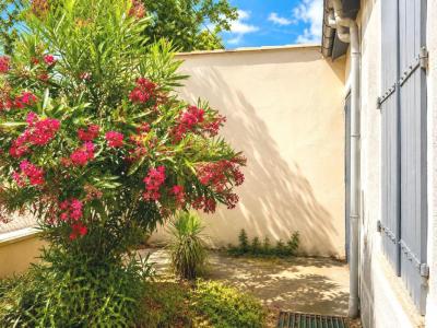 Annonce Vente 4 pi�ces Maison Narbonne 11