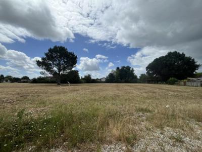 Acheter Maison Martillac 314070 euros