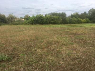 For sale Prignac-et-marcamps 504 m2 Gironde (33710) photo 0