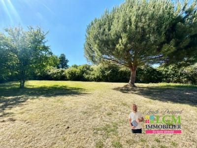 For sale Aubigny 660 m2 Vendee (85430) photo 0
