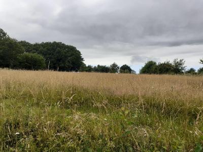 Annonce Vente Terrain  87