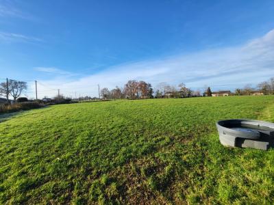 Annonce Vente Terrain  01