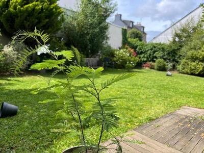 For sale Vannes 8 rooms 237 m2 Morbihan (56000) photo 2