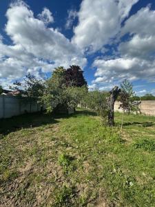 For sale Saint-jean-le-blanc 492 m2 Loiret (45650) photo 0
