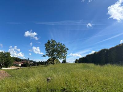 For sale Saint-blaise-du-buis 479 m2 Isere (38140) photo 0