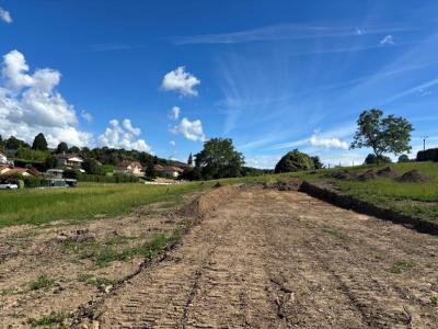 Annonce Vente Terrain Saint-blaise-du-buis 38