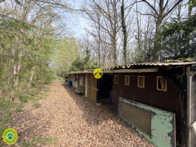 Annonce Vente Terrain Mareuil-sur-arnon 18