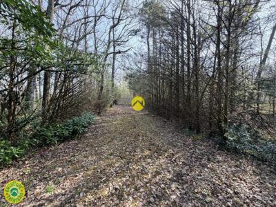 Acheter Terrain 32767 m2 Mareuil-sur-arnon